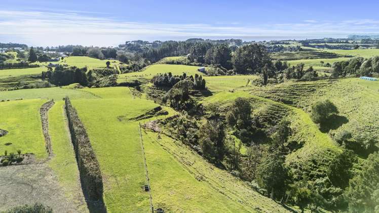 29 Wilson Road Urenui_9