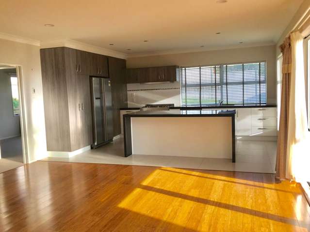 19 Woolaston Place Flat Bush_1