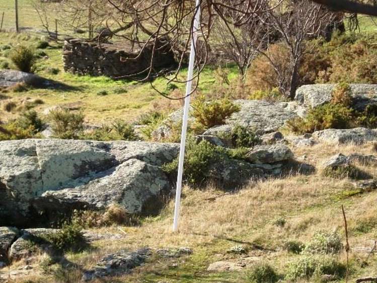 376a Earnscleugh Road Alexandra_11