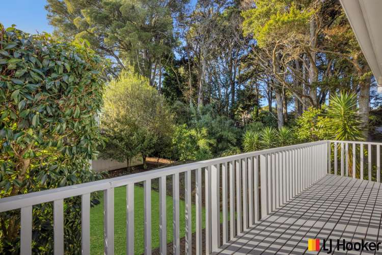 23 Kahurangi Place Hill Park_10