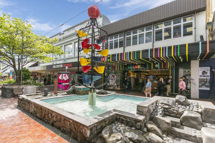 241/21 Left Bank Te Aro_16