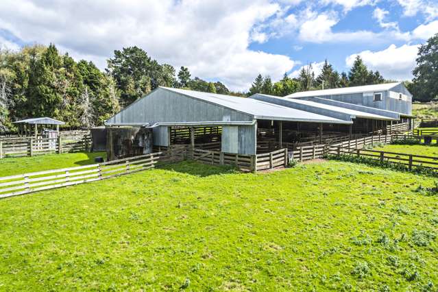 633 Waimaha Road Tahunga_2