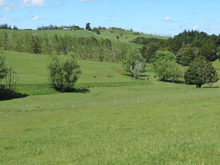 202 Knight Road Ruatangata_14