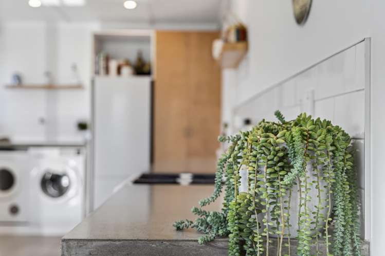 50 Jellicoe Street Ruawai_10