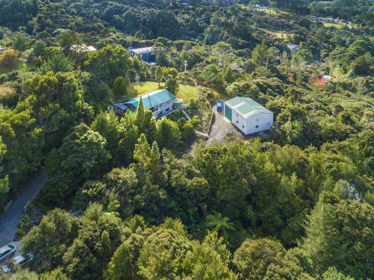 269 Wright Road Dairy Flat_2