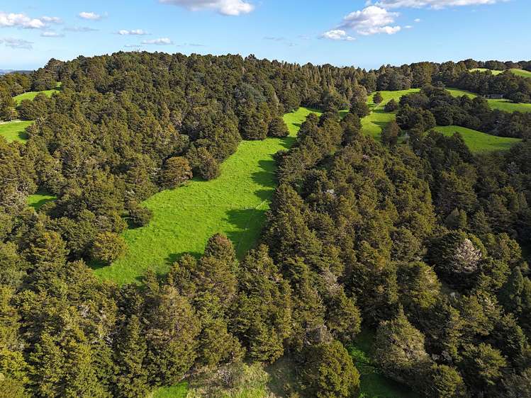 Ounuwhao Road Dargaville Surrounds_19