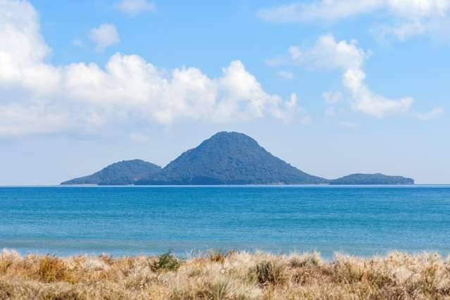 55 Pacific Parade Coastlands_3