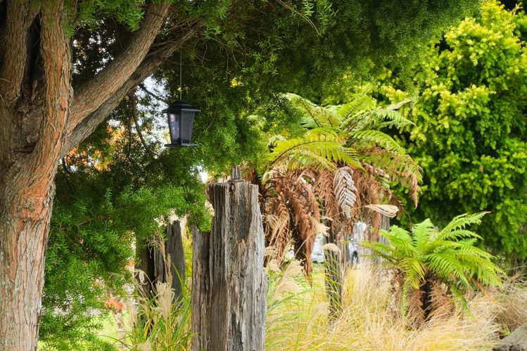 11 Glenfield Road Owhata_11