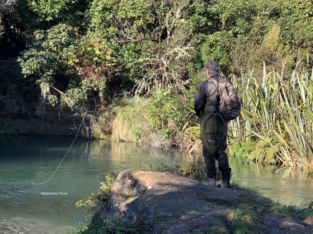 29 Mill Road Waitahanui_4
