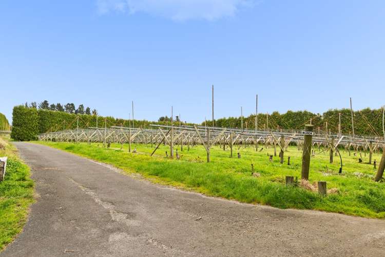 Lot 6/1010 Te Matai Road Te Ranga_4