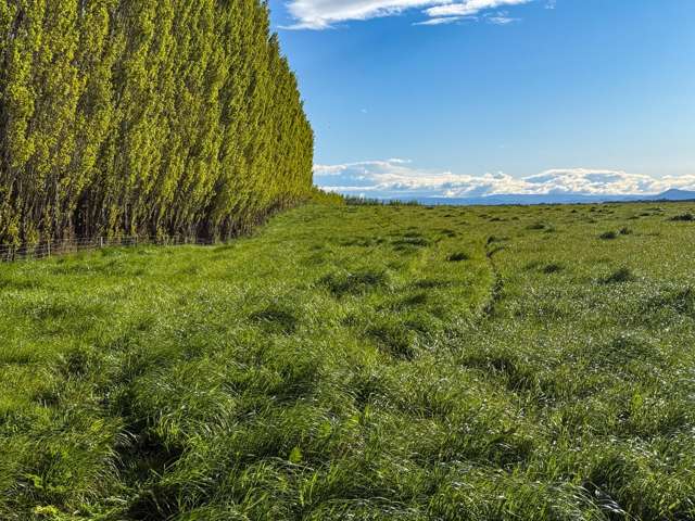 21 East Chatton Road Maitland_1