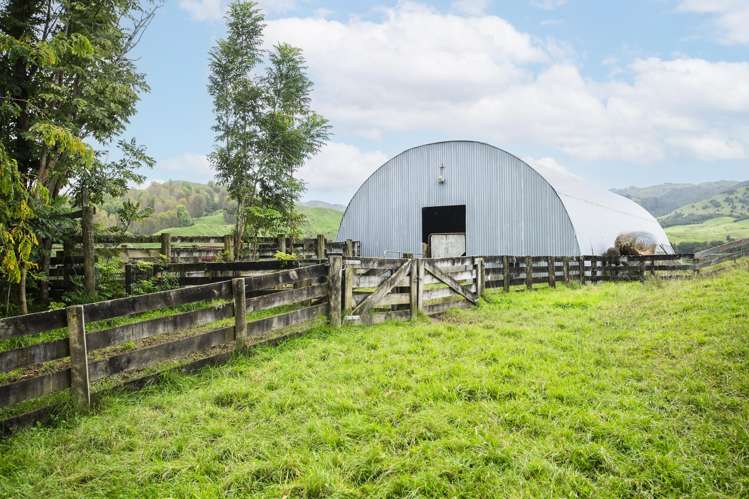 232 Kotare Road Ruakituri_20