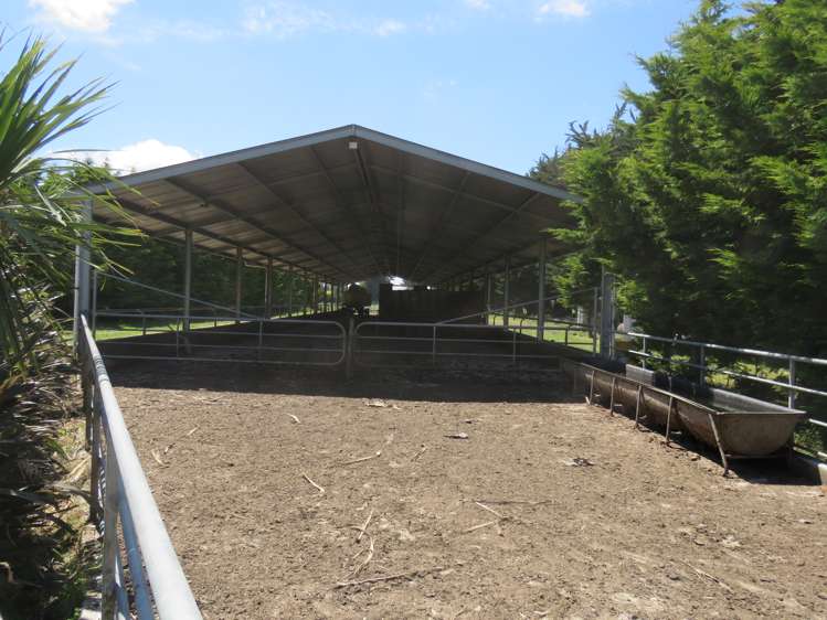 61 Donald Road Edendale_9