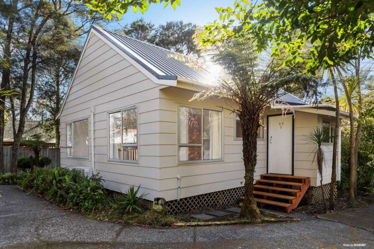 1/20 Wirihana Road_5