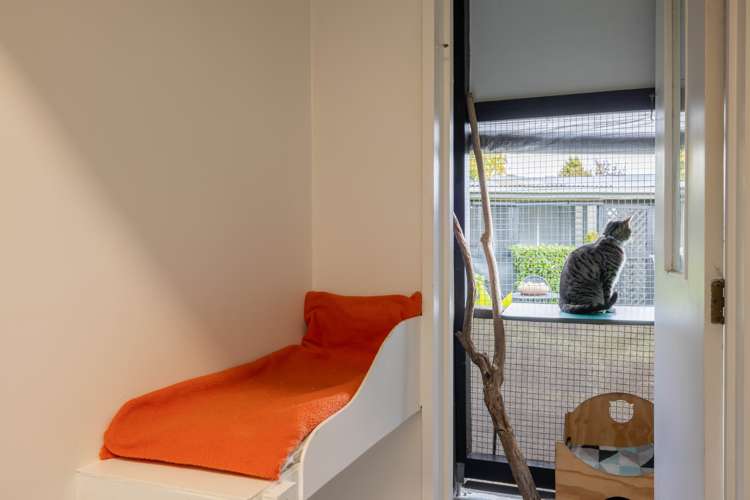 5 Cowper Place Avondale_24