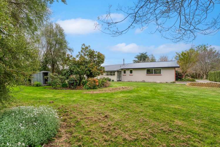 3660 Waipahi Highway Wairuna_20