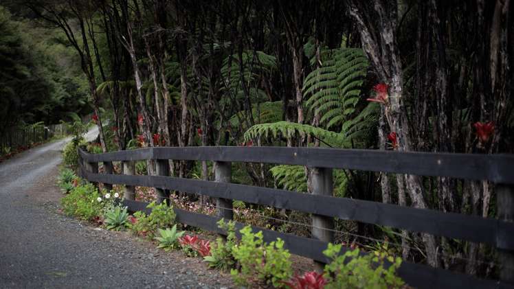 281 J Tolhopf Road Puhoi_36