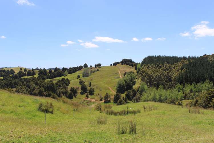 328 Oetzman Road Towai_10