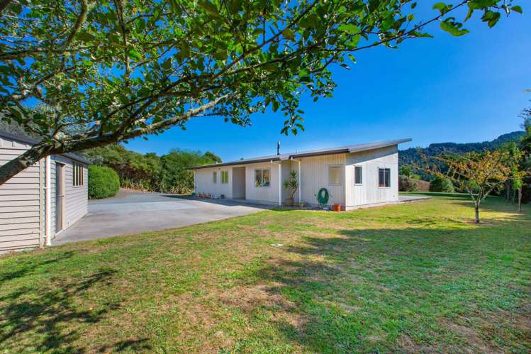 13b Bush View Drive Raglan_14