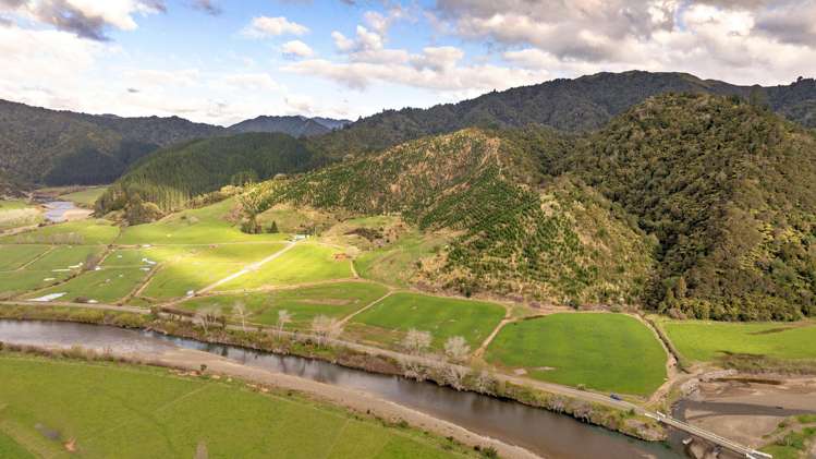 956 Otara Road Opotiki_4