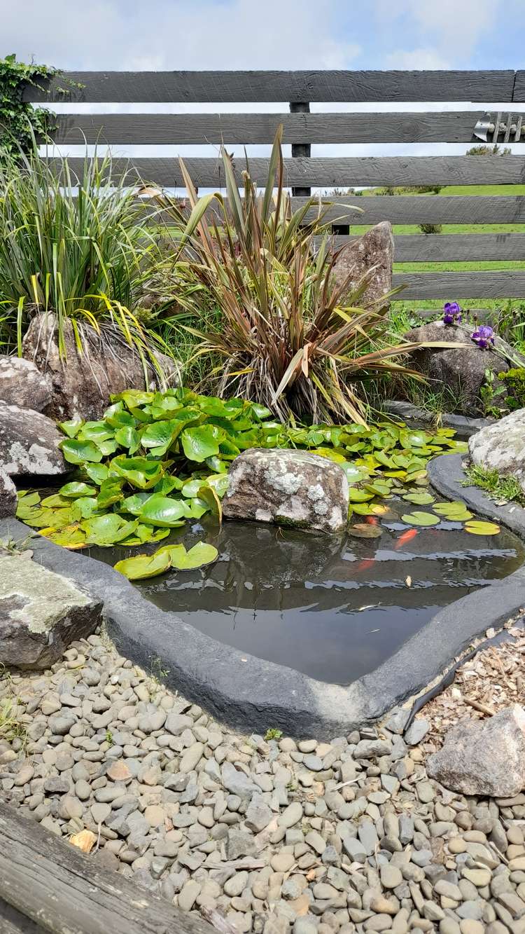 418 Martin Road Kaeo_9