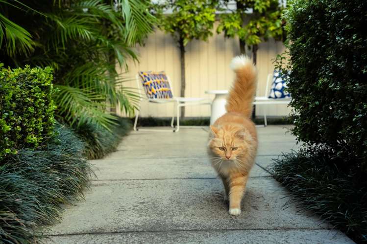 2/11 Umere Crescent Ellerslie_4