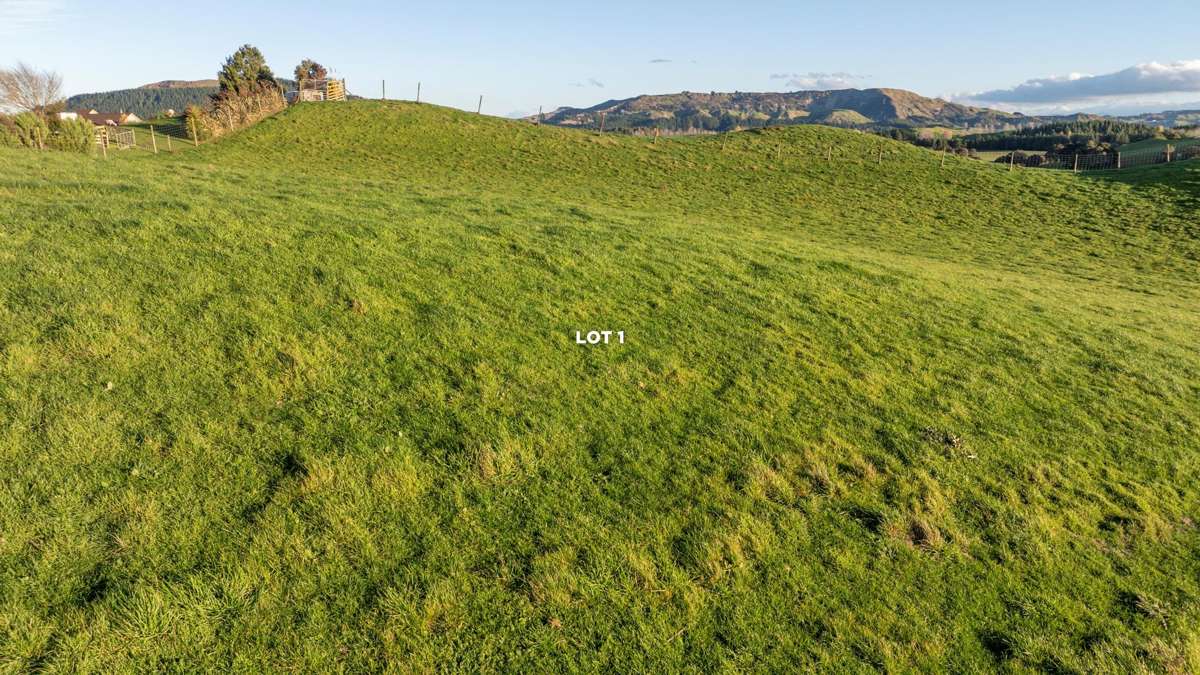 Lots 1 - 4, 2333 Puketitiri Road (subdivision of)_1