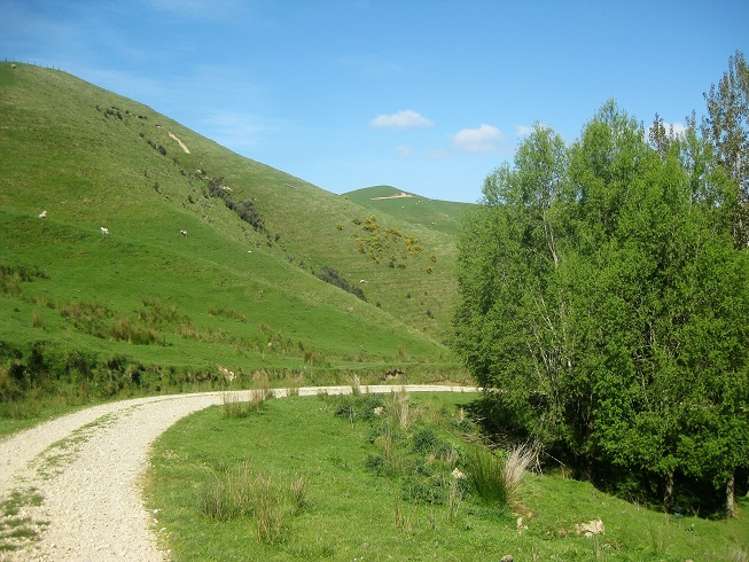 12271 Route 52 Pongaroa_5