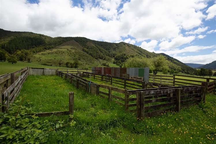 614 Gowan Valley Road Kahurangi National Park_25