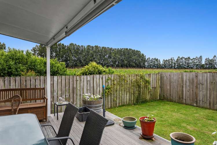 142 College Road Edgecumbe_25