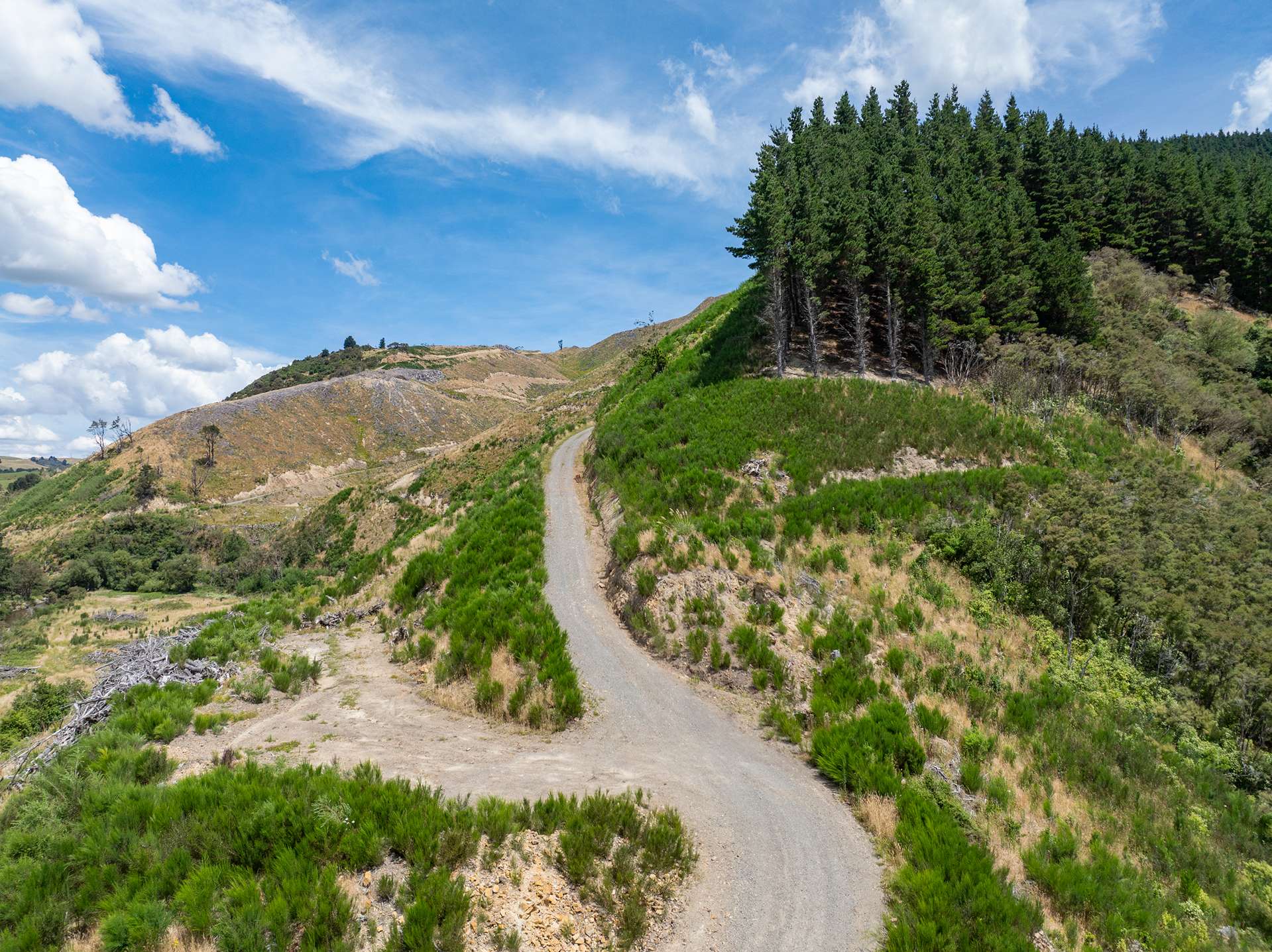 428 Mangatarere Valley Road West Taratahi_0