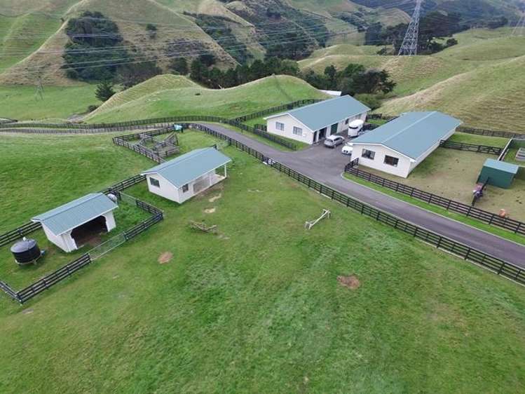 246 Takapu Road Takapu Valley_18