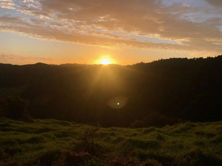 Lot 12 Waipu Caves Estate Drive Waipu_12