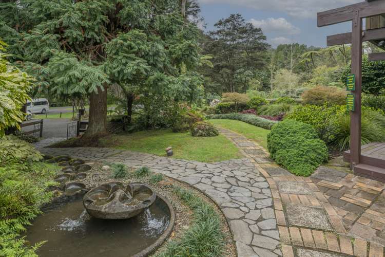 586 Tapu Coroglen Road Coromandel Forest Park_20