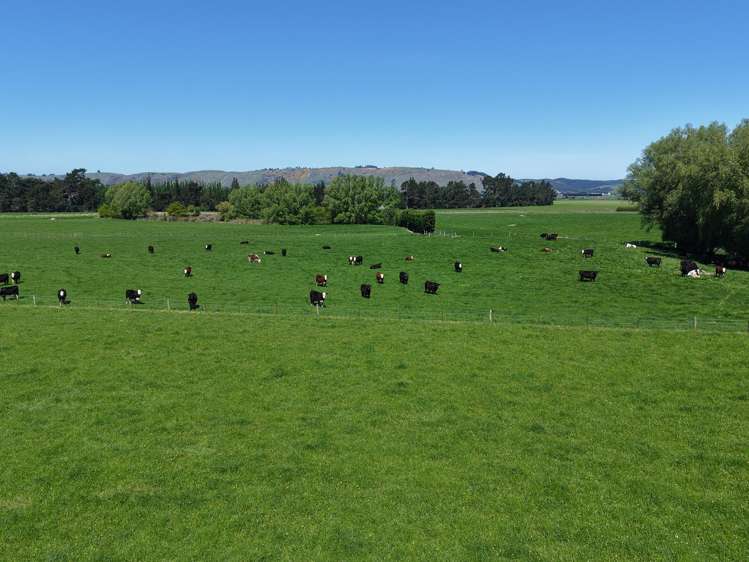 35 Maungatua Road Taieri Plain_9