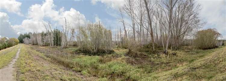 126 Riverlea Estate Drive Kainga_11