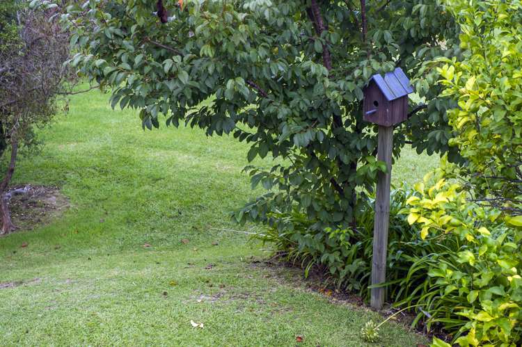 24 Grierson Close Hahei_8