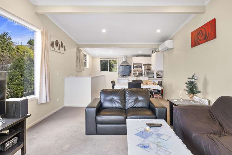 66c Maclaggan Street Dunedin Central_5