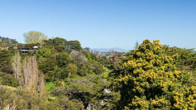 109 Irishtown Road Thames_21