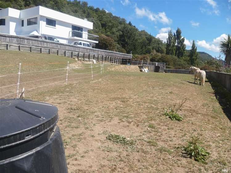 3 Collins Place Picton_5