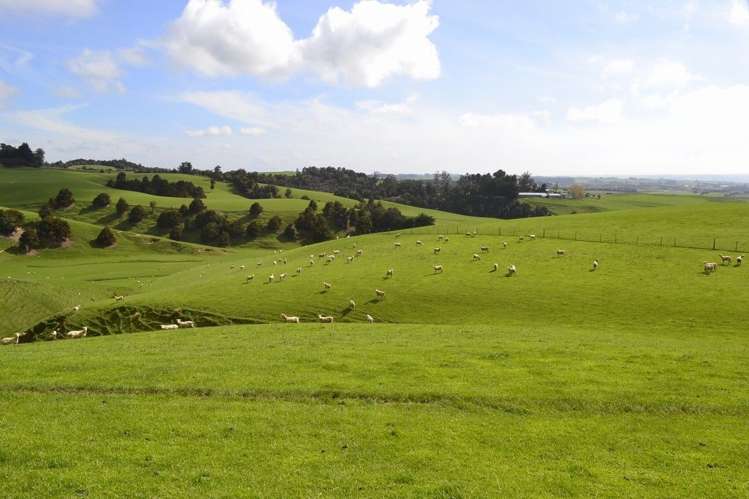 38 Greenall Road Balclutha_16