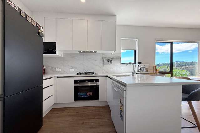 56 Picturesque Drive Flat Bush_3