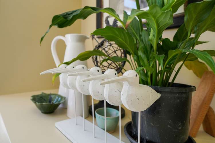 285 Chelmsford Street Waverley_27