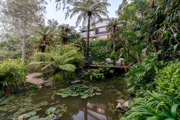 32 Maui Pomare Road Nikau Valley_17