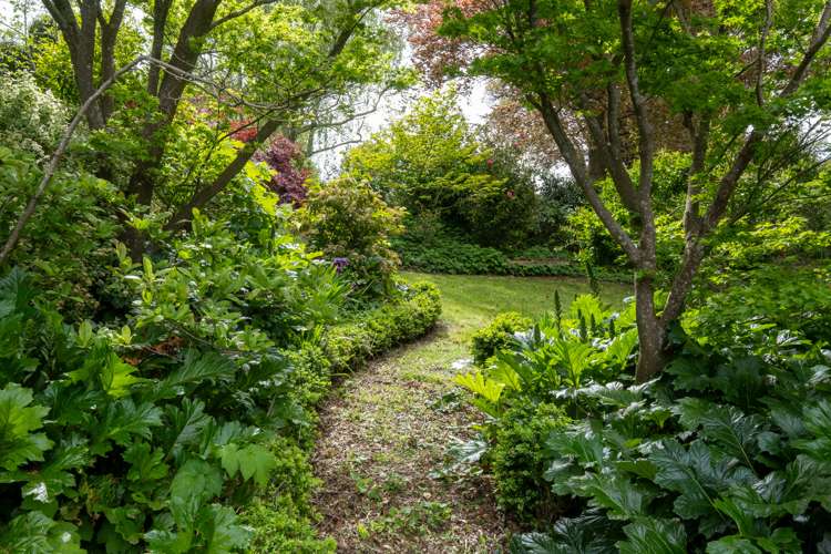 339 Seafield Road Eskdale_39