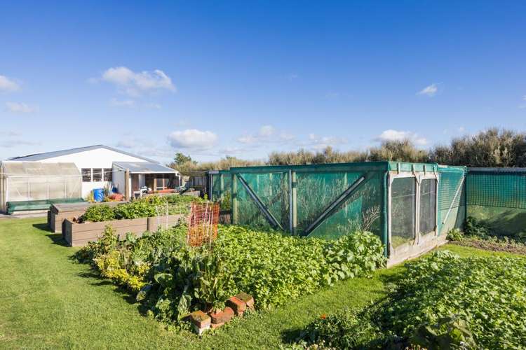63 Sutherland Road Sanson_23