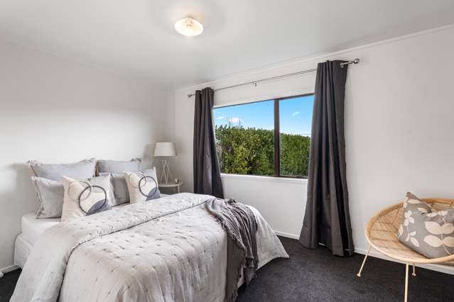 610d Williams Street Mahora_4