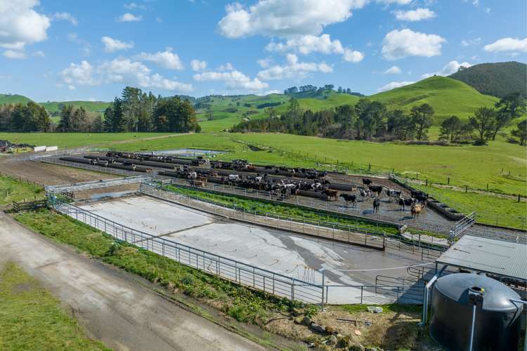 1038 Te Kopia Road Waikite Valley_20