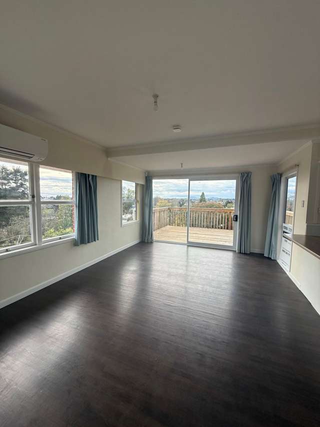 99 Pembroke Street Hamilton Lake_4