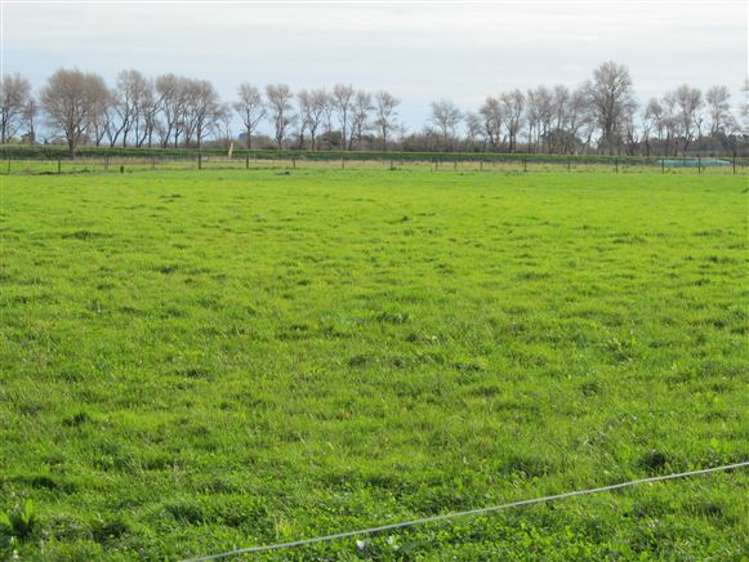 162 Oroua Road Kairanga_6